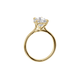 Pear Cathedral - Moissanite Engagement Rings