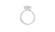 Solitaire Hidden Halo Cathedral - Moissanite Engagement Rings
