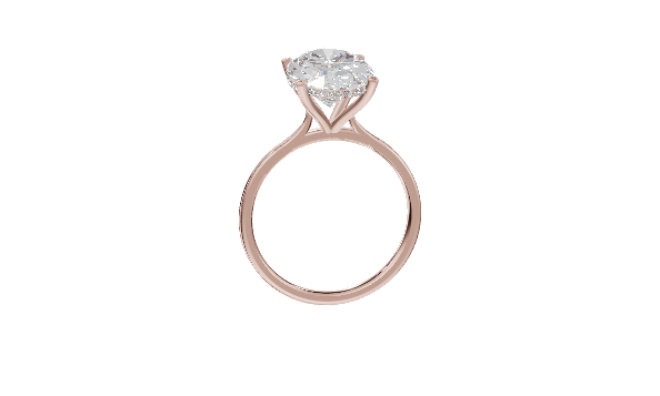 Solitaire Hidden Halo Cathedral - Moissanite Engagement Rings