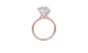 Solitaire Hidden Halo Cathedral - Moissanite Engagement Rings