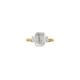 3 Stone Cathedral - Moissanite Engagement Rings