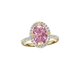 Pave Floating Halo Cathedral - Moissanite Engagement Rings